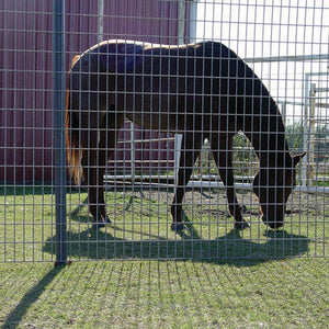 Rete Metallica Elettrosaldata 1,5 x 25 mt Maglia 50x75mm Zincata per Recinsione