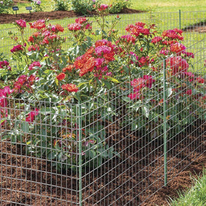 Rete Metallica Elettrosaldata 1,5 x 25 mt Maglia 50x75mm Zincata per Recinsione