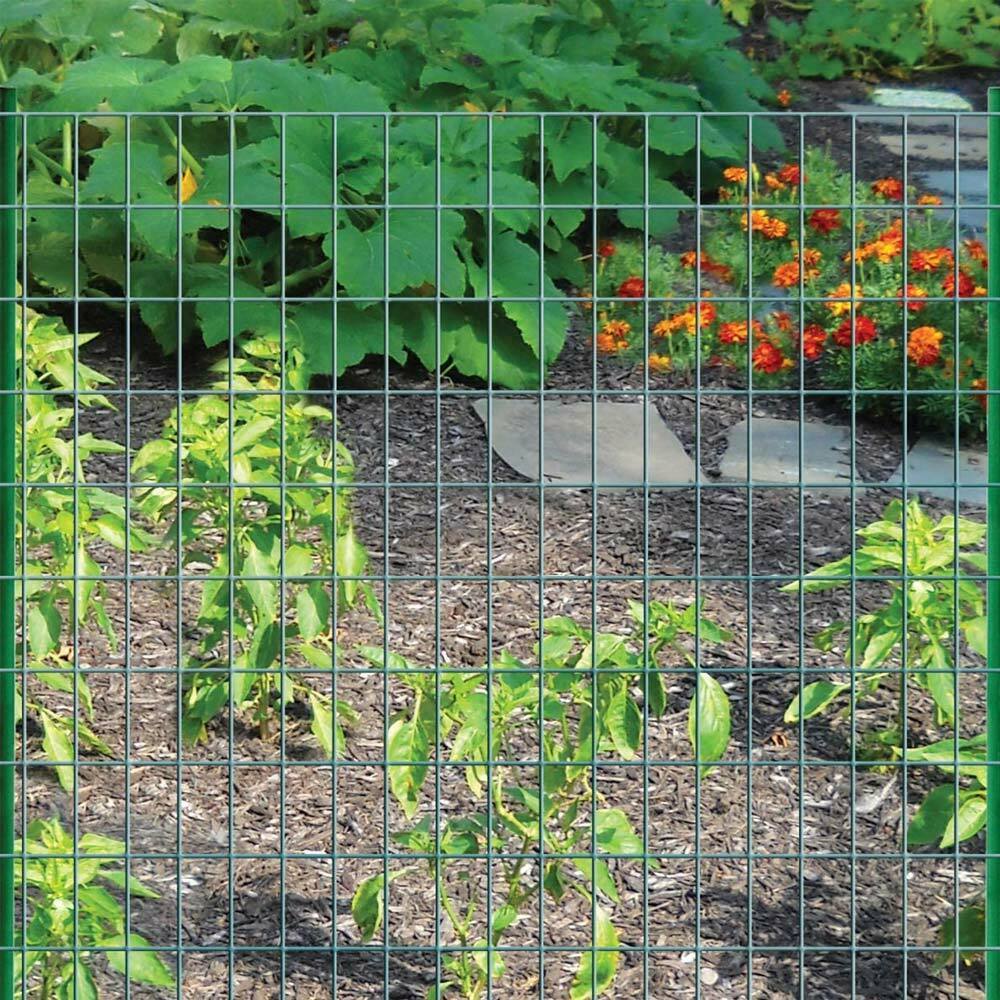 Rete Metallica Elettrosaldata 1,5 x 25 mt Maglia 50x75mm Zincata per Recinsione