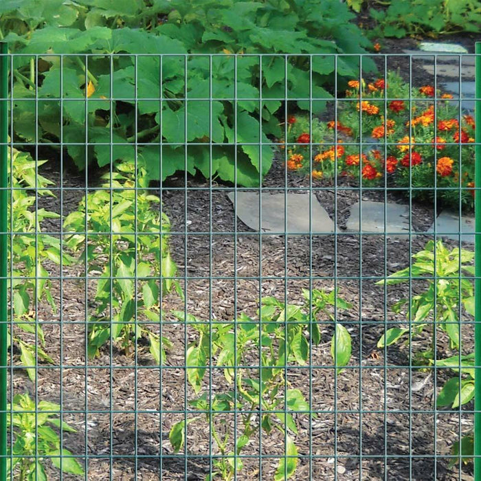 Rete Metallica Elettrosaldata 1,5 x 25 mt Maglia 50x75mm Zincata per Recinsione