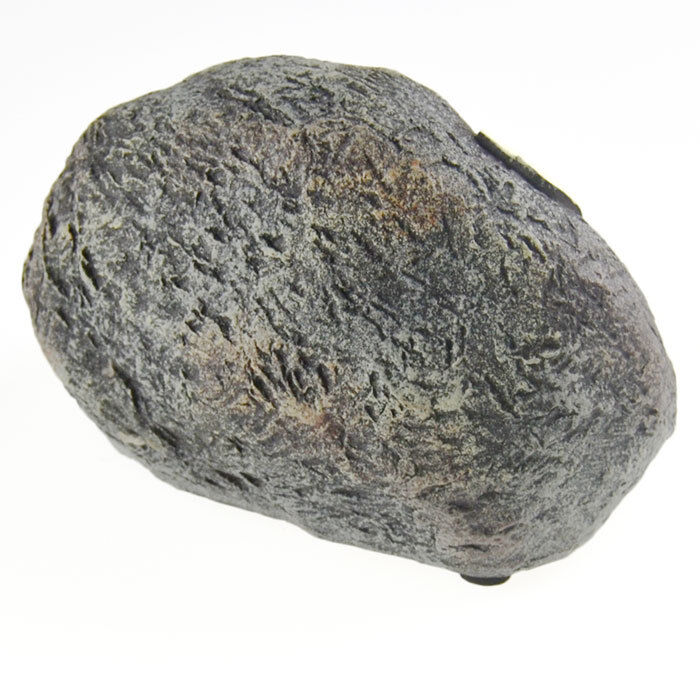 Cranio Testa Teschio Forma Pietra 2 LED Verdi Illuminazione Festa Halloween