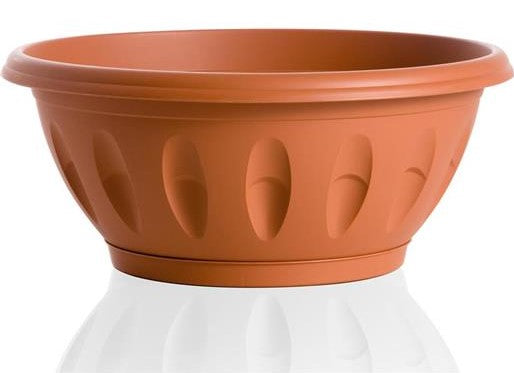 BAMA CIOTOLA ALBA C/SOTTOVASO CM.50