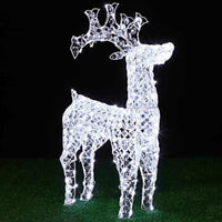 Renna Natalizia Luminosa 3D in Cristalli Acrilici 100 LED Bianco Freddo H. 70 cm