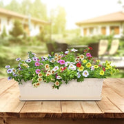 Sottopanchine per vasi di piante - 36 cm - Bianco - Set da 5 - Rettilineo - Plastica - Vasi per piante rettangolari