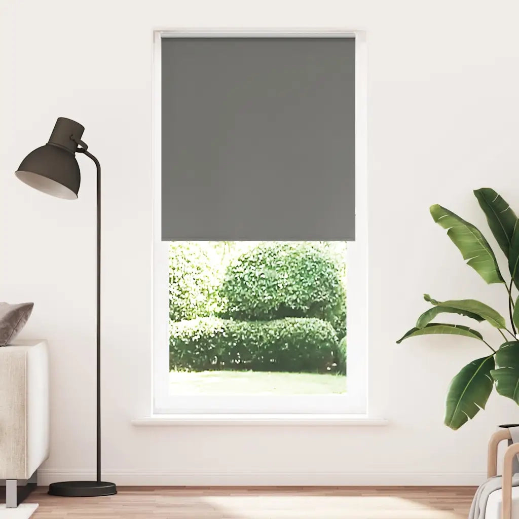 Tenda a Rullo Oscurante-Tenda da sole a rullo 105x210 cm Larghezza Tessuto 100,7 cm 763357