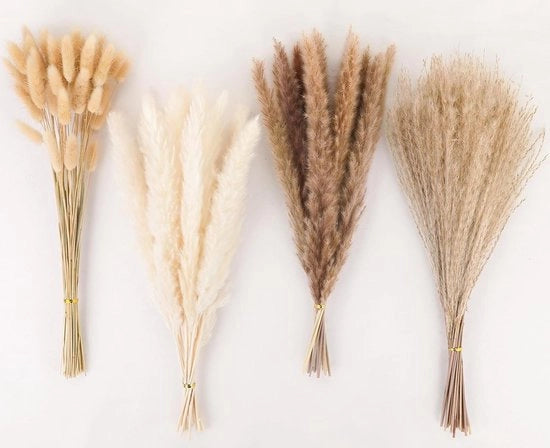 Pampas 100 pezzi - Fiori essiccati - Decorazione da tavolo - Stile boho - Matrimoni - Decorazione di casa - Bellezza naturale