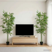 Albero di Bambù 2 pz Verde 60 x 18 x 190 cm Tessuto e Bambù 42042061