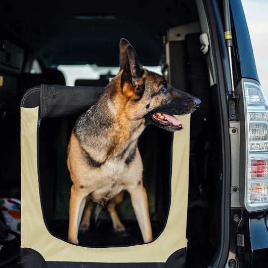 Fudajo Trasportino pieghevole beige per animali domestici Taglia L (70x52x50cm), maniglia, copertina