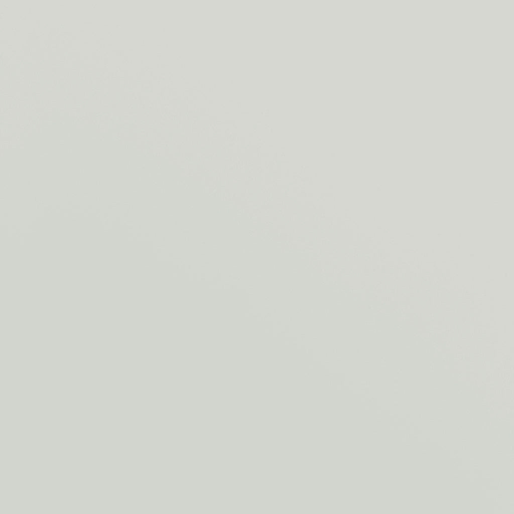 Armadio Classificatore Grigio Chiaro 79x40x90 cm in Acciaio CFW4941203