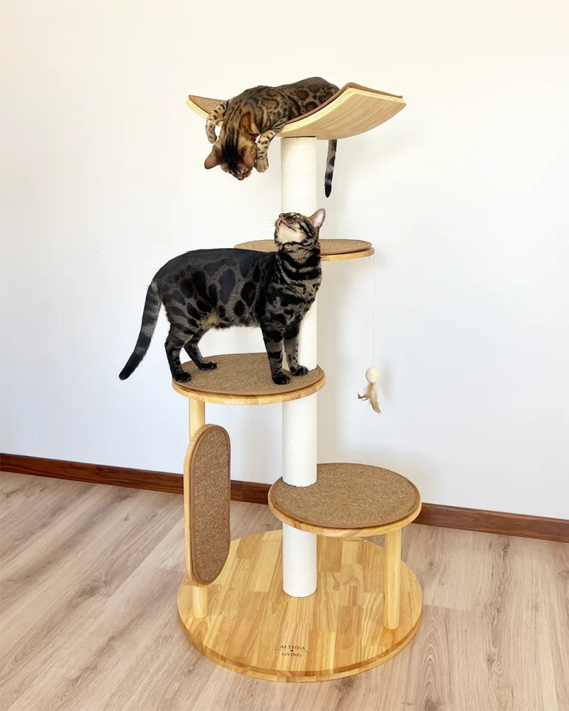 Albero tiragraffi per gatti Gaviota