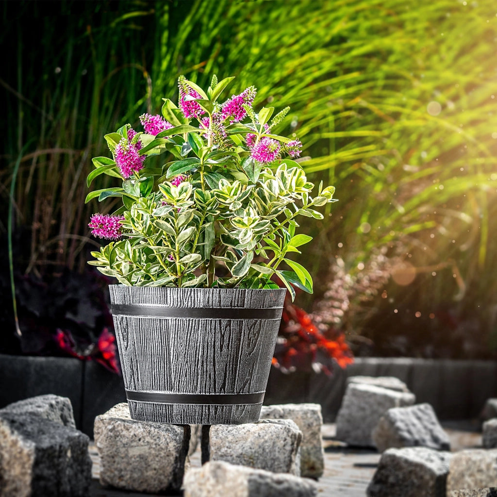 Vaso da fiori KADAX, vaso per fiori, copertura da giardino, rotondo, supporto per fiori in plastica, 30 cm