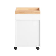 Carrello da ufficio Armadi archivio traslabili Supporto per Stampante 40x40x63 cm ASK03-W