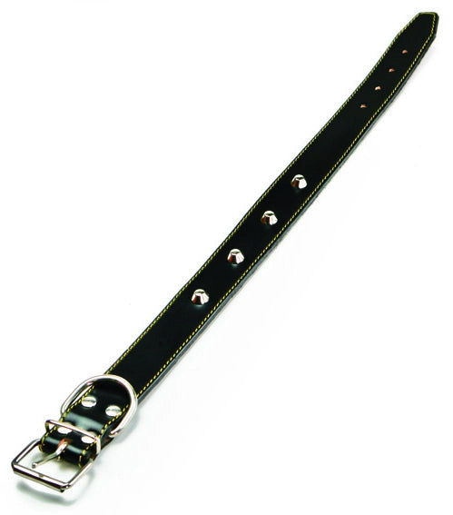 Utilia Pet COLLARE IN CUOIO FODERATO CON BORCHIE cm. 56x3,0 col. Assortiti