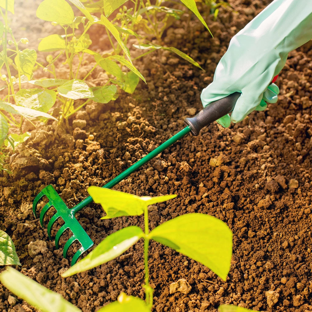 Set di attrezzi da giardino KADAX 3 in 1: paletta per radici, pala, rastrello