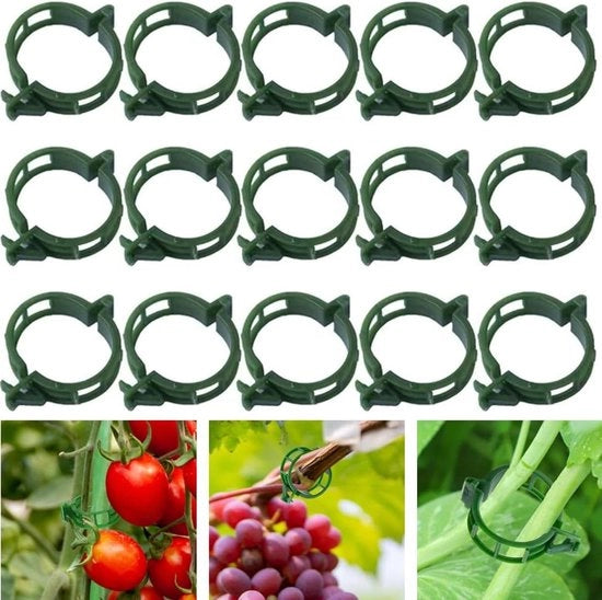 Supportini per piante - 200 pezzi, sostegno per piante di pomodoro, piante rampicanti e piante da giardino (verde)