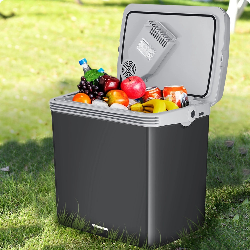 Frigorifero Elettrico Portatile 32 L a Pozzetto Caldo e Freddo Grigio Spina 230V e 12V Grigio