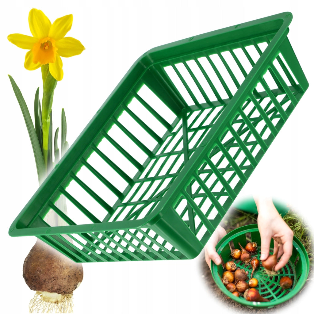 Cestino KADAX per bulbi, bulbi da fiore, tulipani, coperture per piante, 28 cm