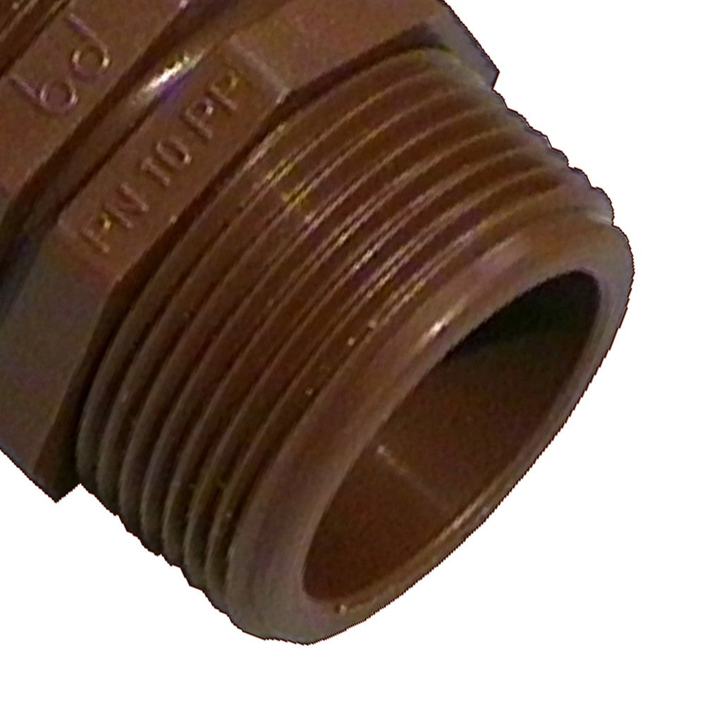 Nipples mm in pp marrone