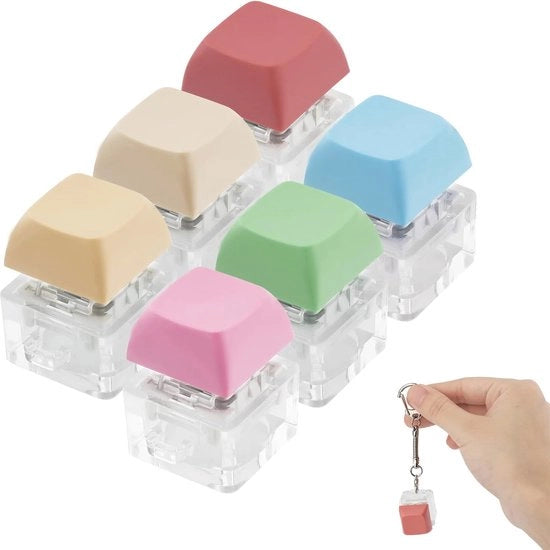 Set di Stress Relaxanti Fidget con Chiave da Porta - 6 Colori con Fermo Chiave