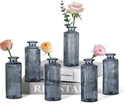 Set di piccole vasi da tavolo, 6 pezzi di vasi in vetro per decorazione di tavola, vasi mini, flaconi in vetro per l'uso domestico, matrimoni, compleanni e feste (nero verticale)