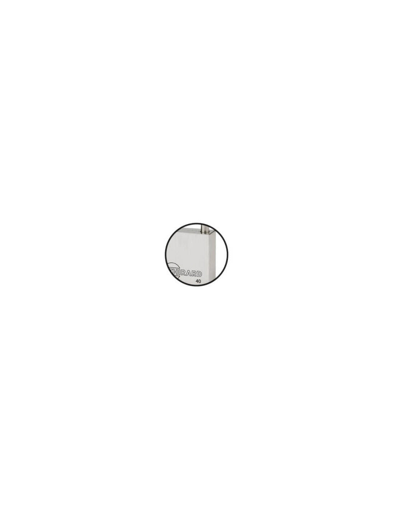 Lucchetto Inox Transit 2 40mm, arco acciaio INOX, 2 chiavi reversibili - THIRARD