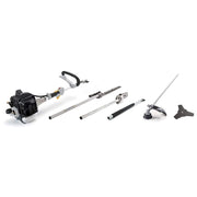 DECESPUGLIATORE 5 IN 1 'AMT26' Kw 0,7  - ALPINA