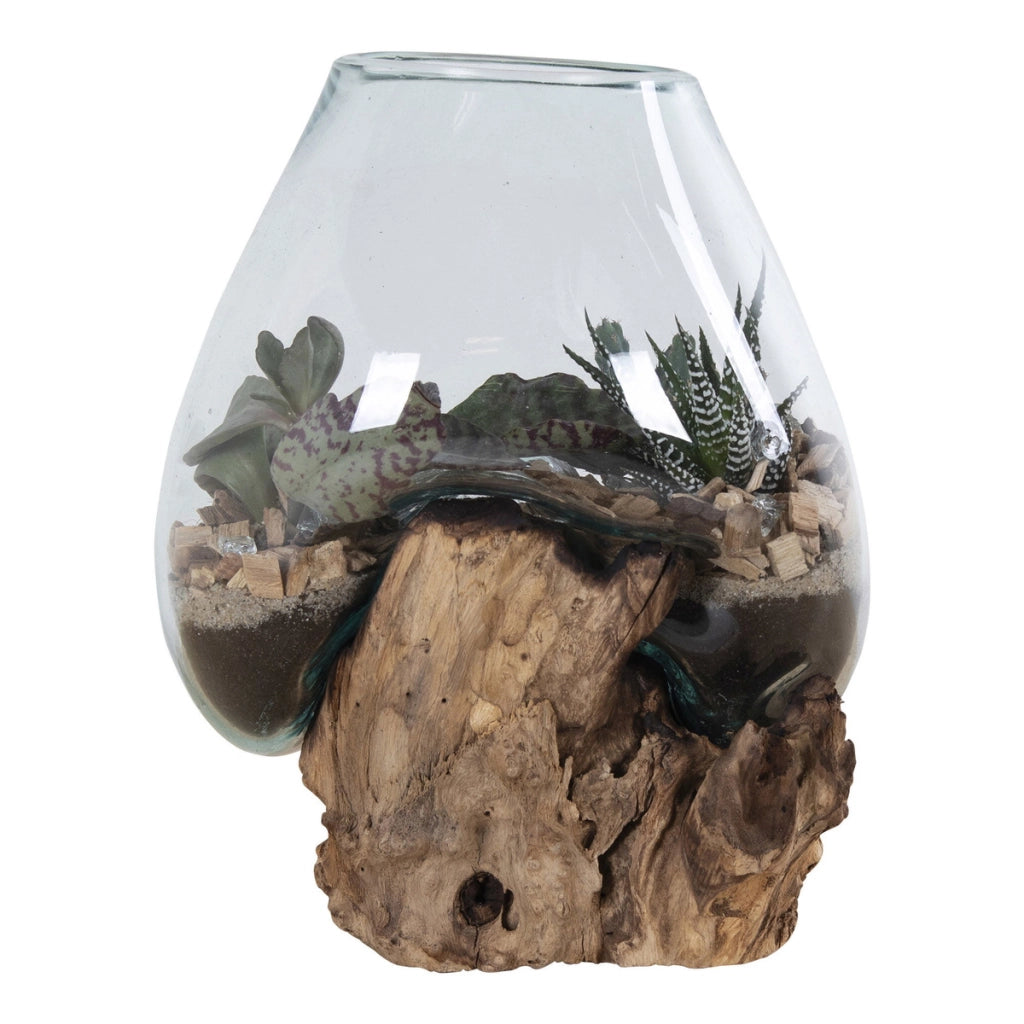 Terrario San Marino in vetro a cupola su base in radice di teak 18x20 cm