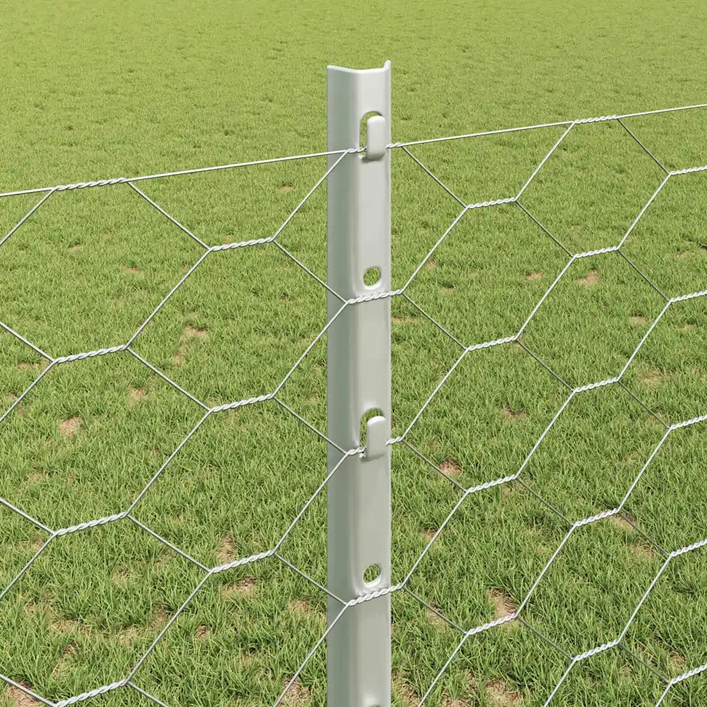 Recinzione da Giardino | Recinzione con Posto Argento