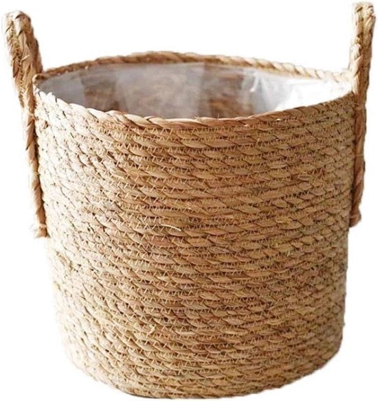 Bacchetto per piante in natura da 35 cm - Contenitore per piante a mano con rivestimento in plastica
