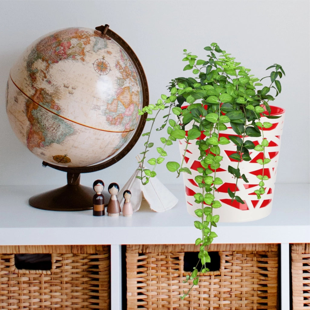 KADAX - Inserto in plastica per vaso di fiori e piante, 17 cm, rosso