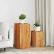 Supporti per Piante 2 pz in Legno Massello di Acacia 320805