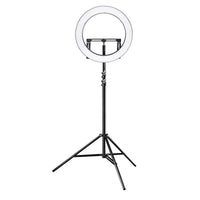 Ring light a LED 500 Bi-Color dimmerabile con treppiedi fotografico, Luce ad anello da 32W per foto e video con settori commutabili e accessori