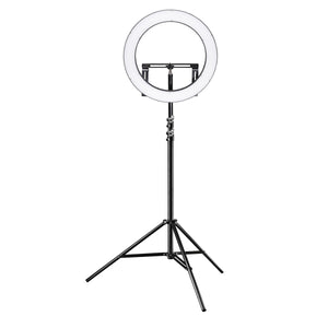 Ring light a LED 500 Bi-Color dimmerabile con treppiedi fotografico, Luce ad anello da 32W per foto e video con settori commutabili e accessori