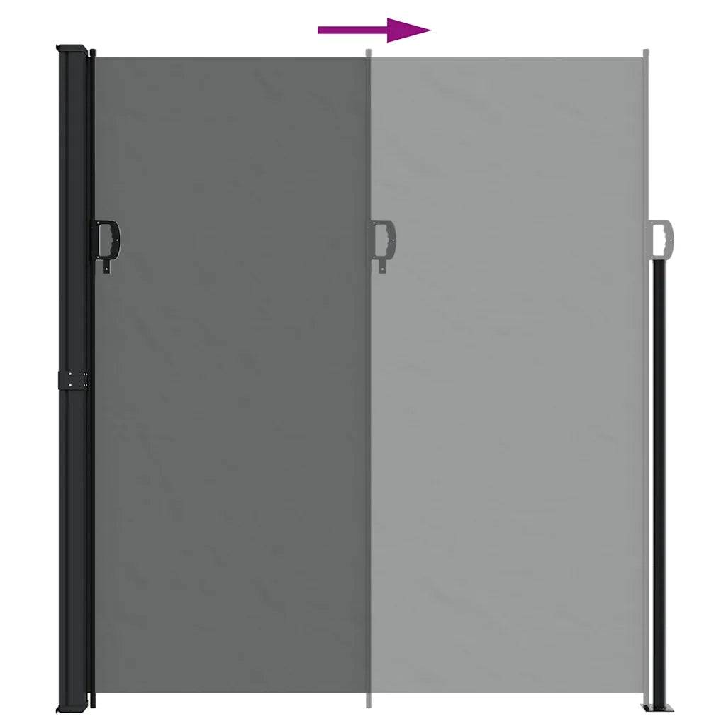Tenda da Sole Laterale Retrattile Antracite 220x500 cm 4004488
