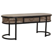 Tavolino in metallo marrone 110x42x45h