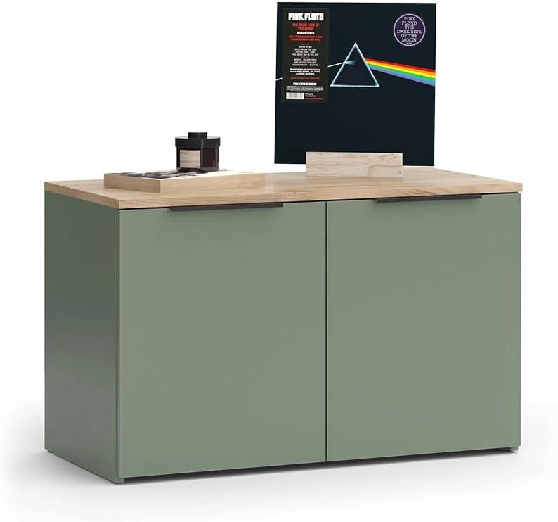 Credenza Wido, Verde, 80 x 50 cm con 2 porte, adatto per riporre abiti e oggetti per la casa
