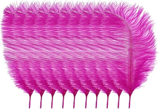 Decorazione con piume di struzzo da 10 pezzi - Piume decorative - Arte manuale - Fai da te - Piume soffici - 25cm-30cm (10"-12") - Piume decorative