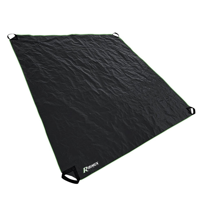 Telone Per Raccolta Fogliame 2x2 M - Ribimex PRSACPL2