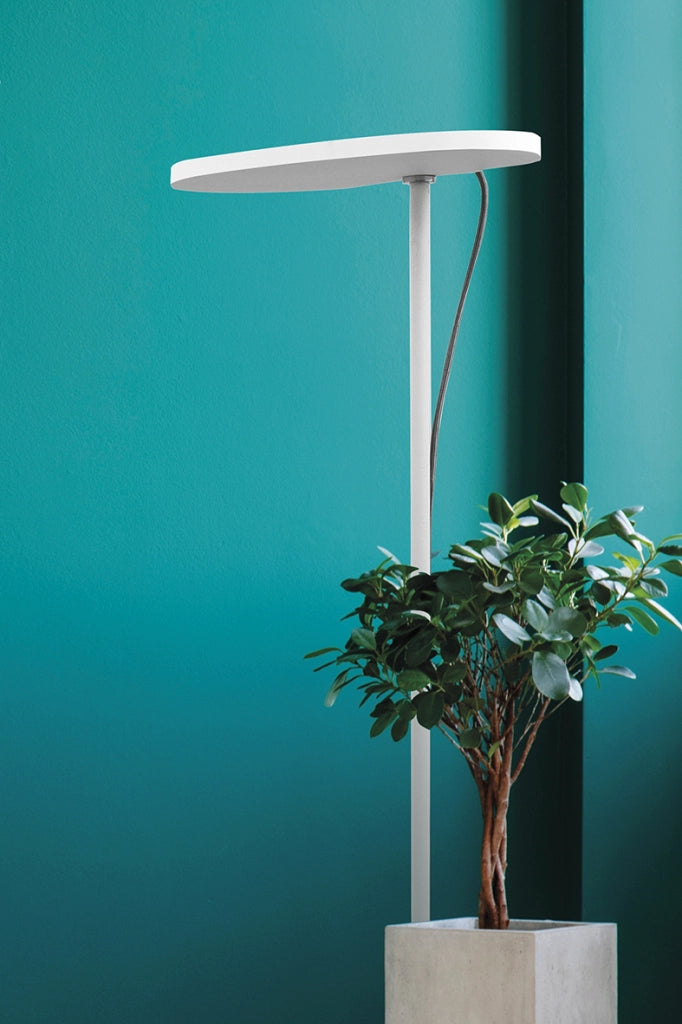 Applique LED BALA 27W Luce Indiretta 2700K Struttura in Alluminio Verniciato Nero - Rossini Illuminazione - Design Moderno ed Elegante