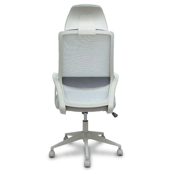 Pro534 rete ne/tes ne/br fis/pt reg - 534BGY00053PGRN
