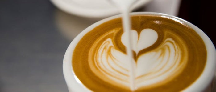 Brocca per latte Orion in acciaio inox da 580 ml