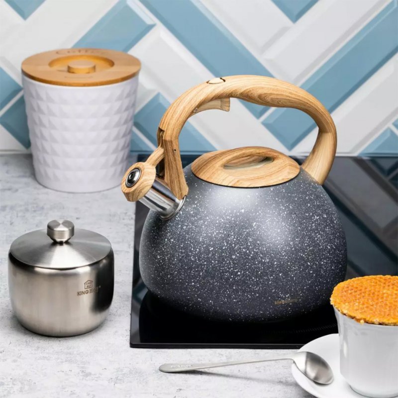 Klausberg KB-7509 Bollitore con fischietto, teiera in acciaio inossidabile da 2,8 l