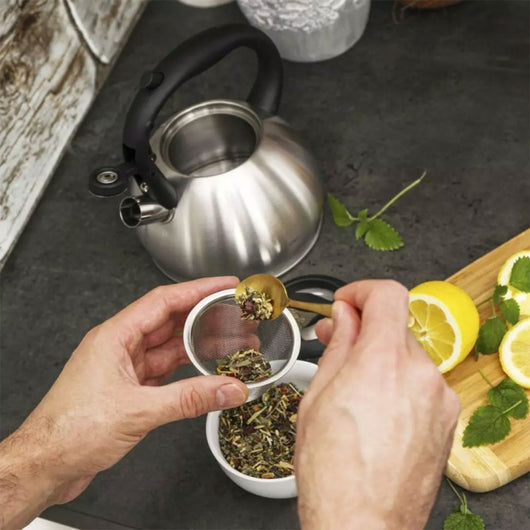 Kinghoff KH-1633 Bollitore con fischietto e filtro per tè ed erbe aromatiche