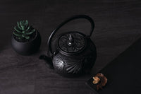 Berlinger Haus BH-7802 Teiera in ghisa con filtro 800ml