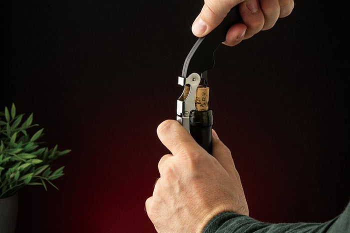 Berlinger haus BH-2000 Elegante set regalo di accessori per il vino