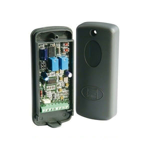 RICEVENTE BICANALE DA ESTERNO IP54 12 - 24 V AC - DC PER SISTEMA TAM CAME RE432