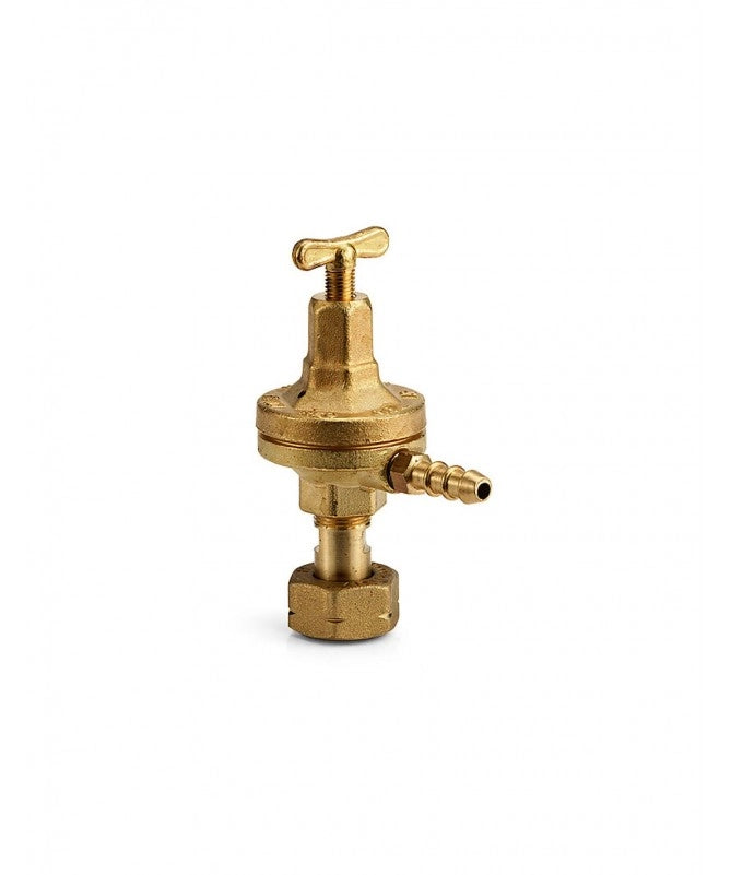 RIDUTTORE PER GAS 8 kg/h