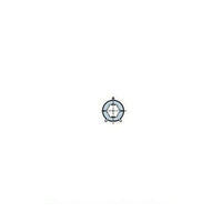 ADATTATORE TONDO 50X2 RUOTA PER ERA M Ø 45 MM NICE 515.25005 AUTOMAZIONE NUOVO