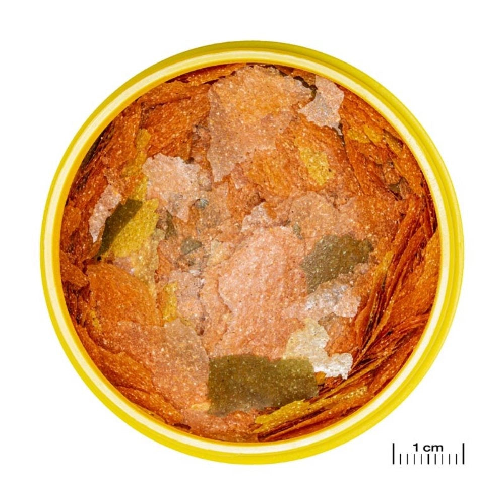 JBL ProNovo Tanganyika Flakes M - fioccato per Ciclidi da 8 a 20cm Formato: 250 ml
