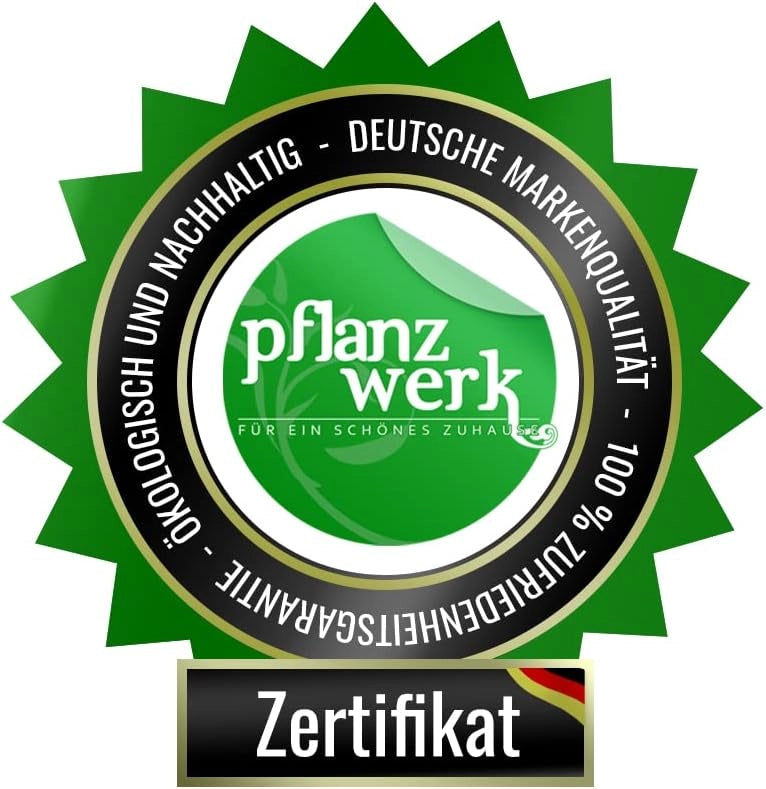 Pflanzwerk® Fioriera Vaso per fiori Portavaso Antracite 30x60x30cm *Resistente al gelo* *Protezione UV* *Europea di qualità*